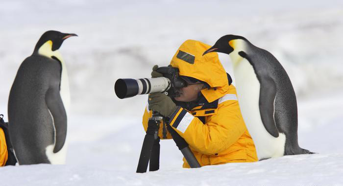 Are Penguins Friendly