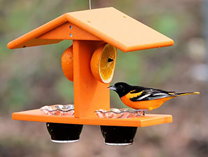 Baltimore Oriole Bird Feeder