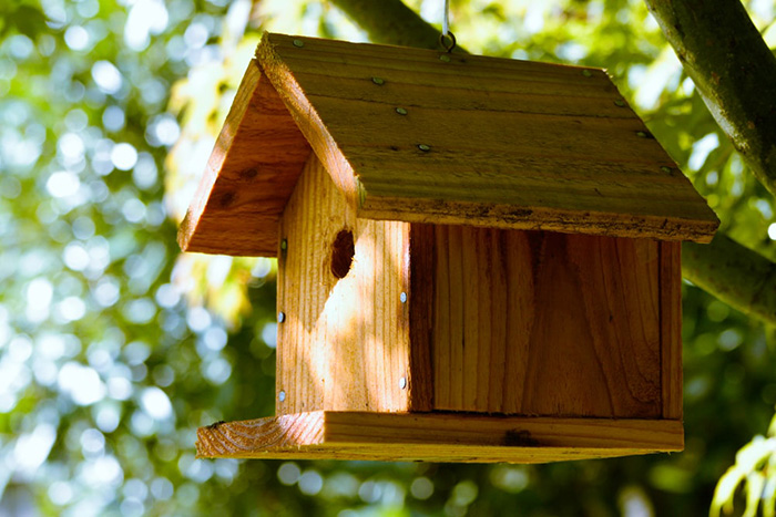 Best Wood For Birdhouse-3