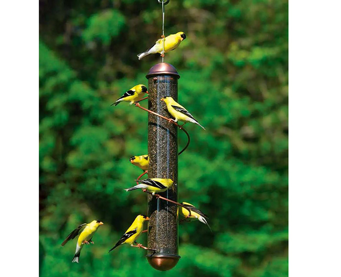 Bird Feeder Perch-2