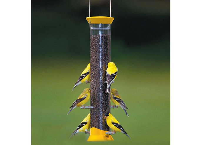 Bird Feeder Perch-3