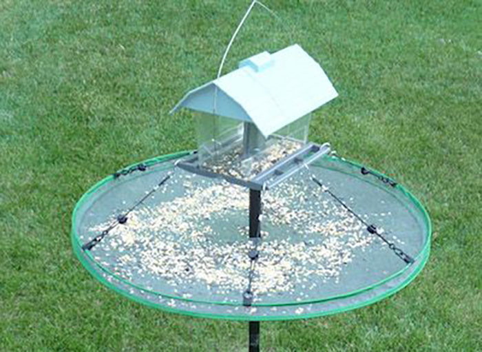 squirrel proof bird feeder pole