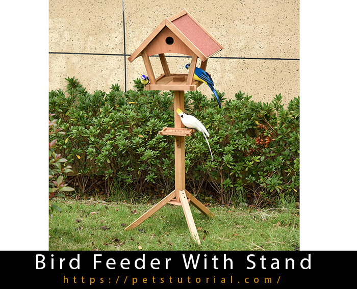 Bird Feeder With Stand
