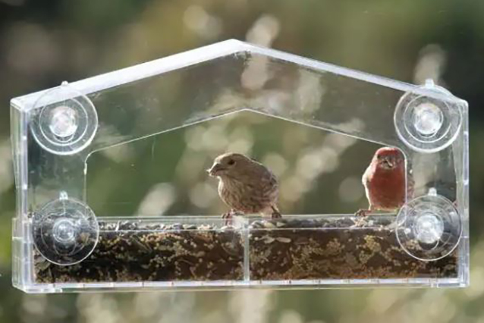 Bird Feeders That Stick To Window-2