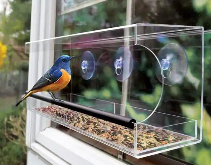 Bird Feeders That Stick To Window-3