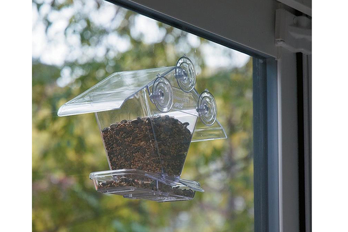 Bird Feeders That Stick To Window