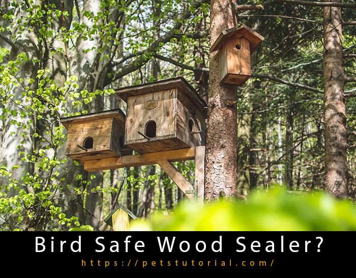 Bird Safe Wood Sealer-2
