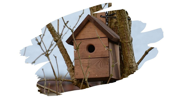 Bird Safe Wood Sealer