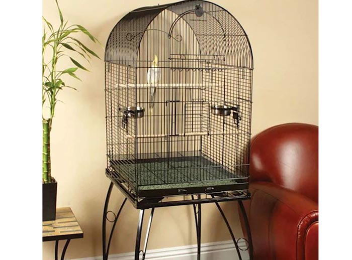 Cage Size For 2 Cockatiels-2
