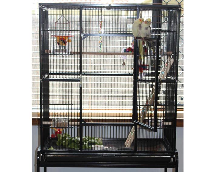 Cage Size For 2 Cockatiels