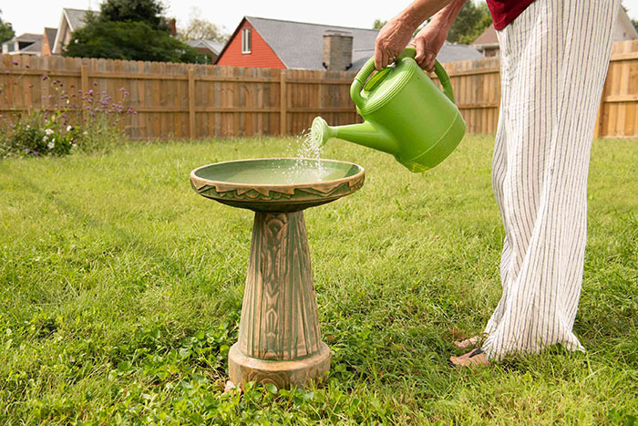 Cleaning Bird Baths