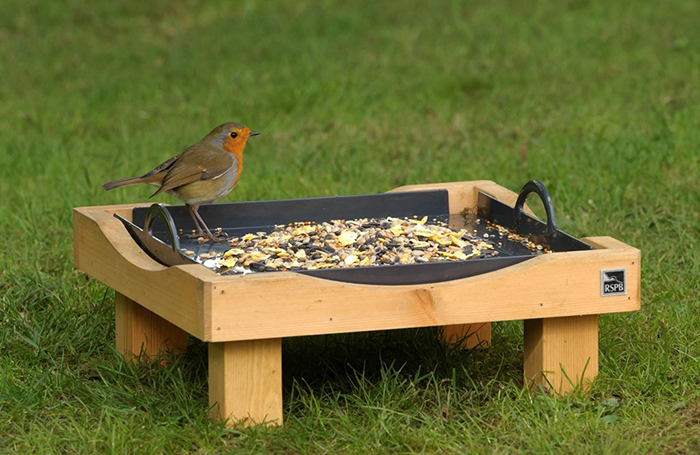 Ground Feeder For Birds-2