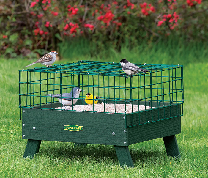 Ground Feeder For Birds