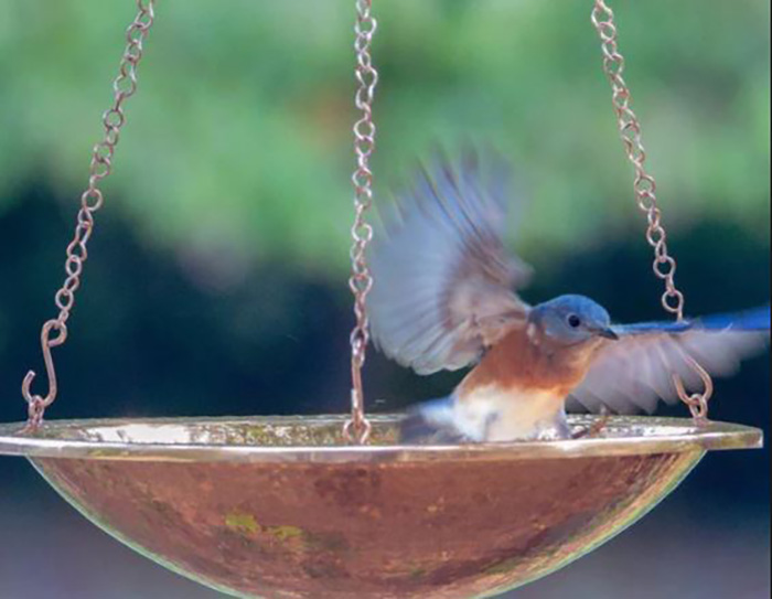 Hanging Bird Baths-2