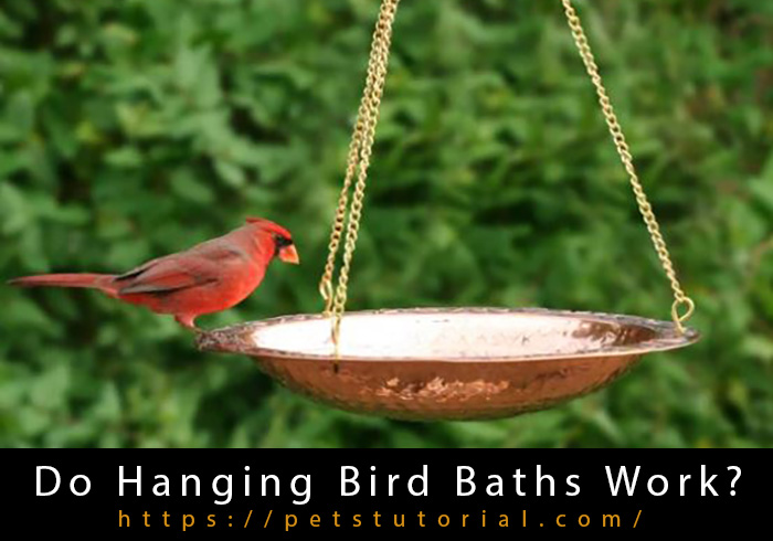 Hanging Bird Baths-3