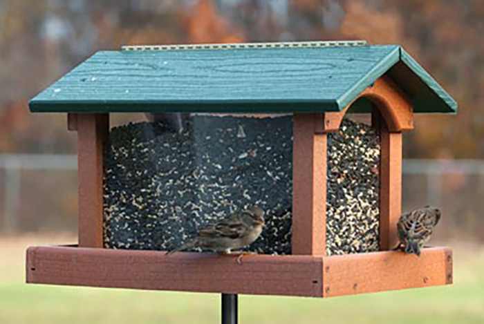 Hopper Bird Feeder