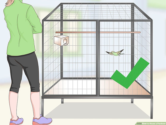 How Big Should A Parakeet Cage Be