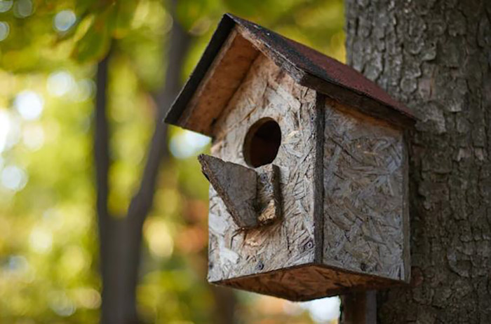 How To Attach Birdhouse To Tree-2