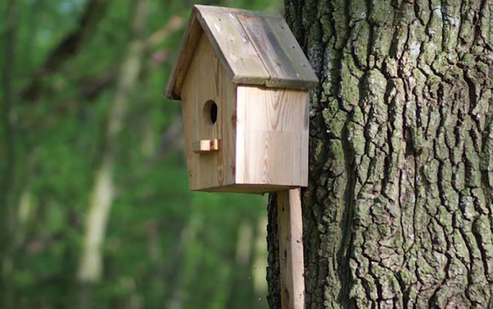 How To Attach Birdhouse To Tree-3