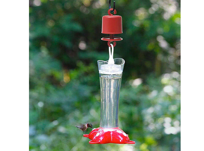 How To Keep Ants Out Of Bird Feeder