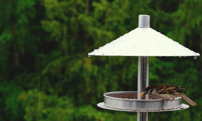 How To Keep Bird Feeders Dry-2