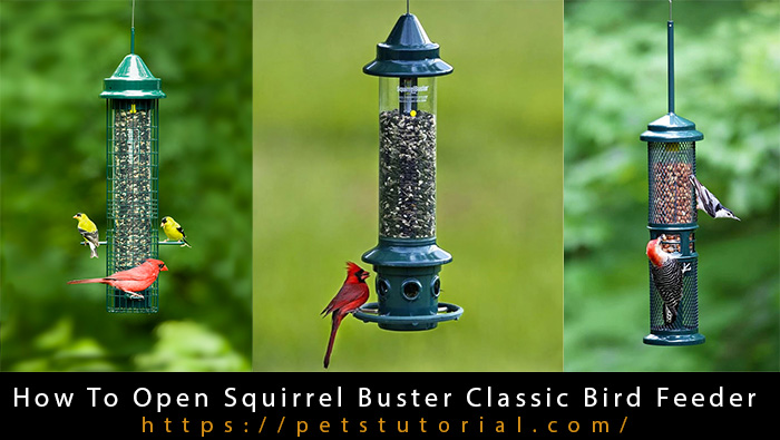How To Open Squirrel Buster Classic Bird Feeder