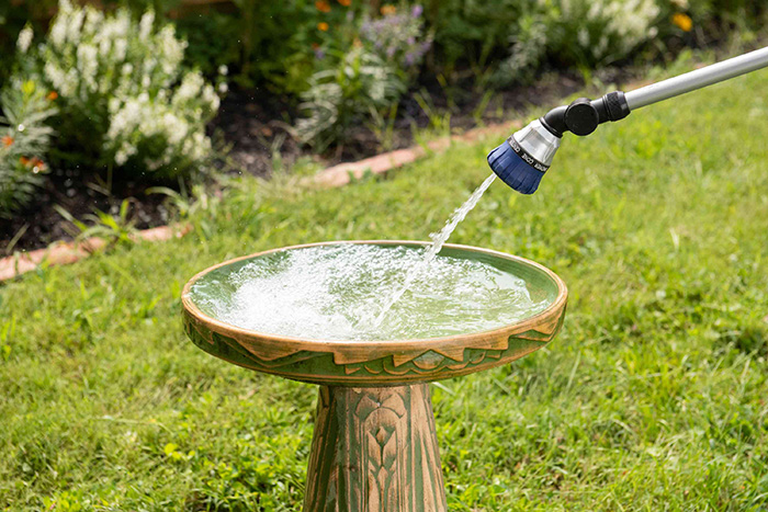 how-to-prevent-algae-in-bird-bath