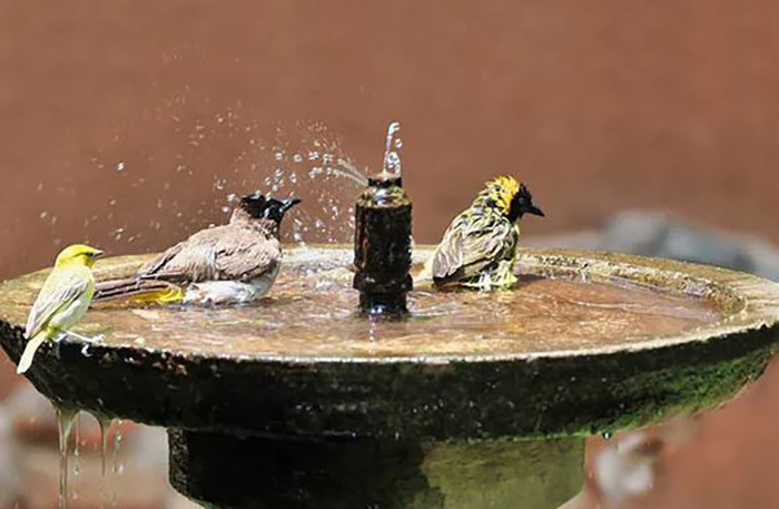 How To Stabilize A Bird Bath-2