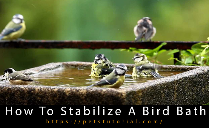 How To Stabilize A Bird Bath-3
