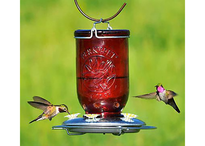 Hummingbird Feeder Glasses-3