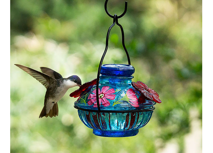Hummingbird Feeder Glasses