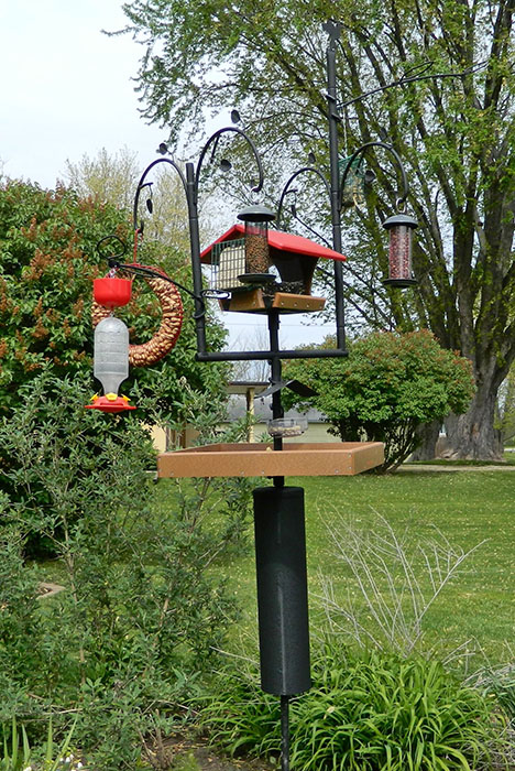 Multi Bird Feeder Pole-2