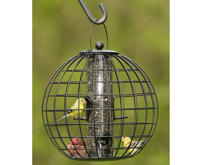 Pigeon Proof Bird Feeders-2