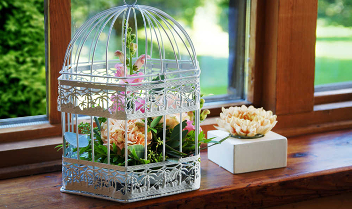 Plants In A Bird Cage-3