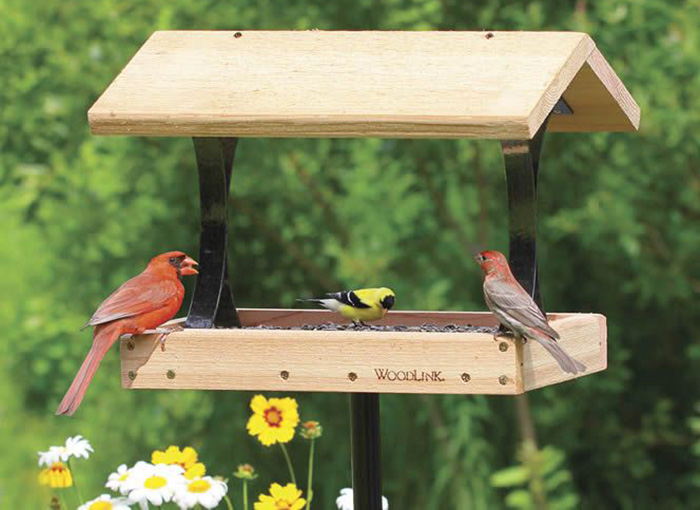 Platform Bird Feeder With Roof