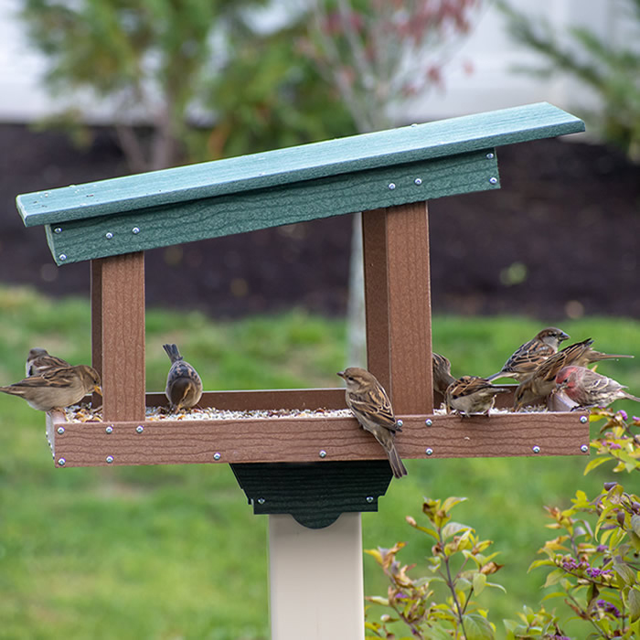 Platform Bird Feeders Pole Mounted