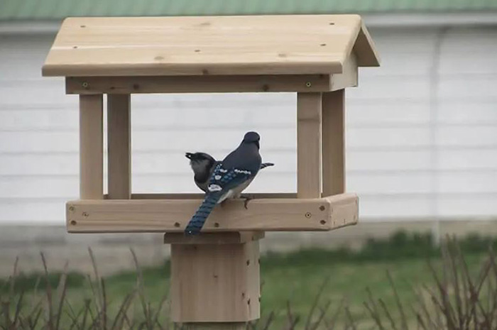 Post Mounted Wooden Bird Feeders-3