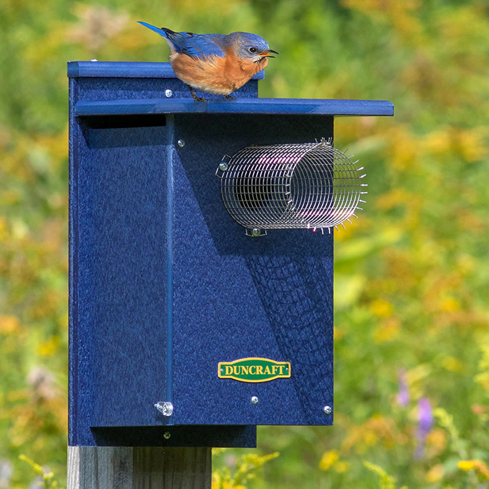 predator-guards-bird-houses