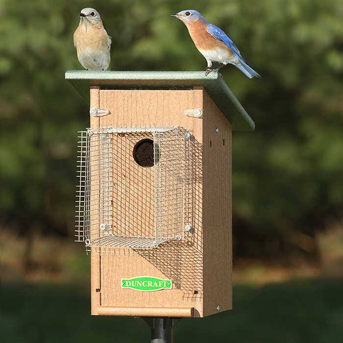 Predator Guards Bird Houses