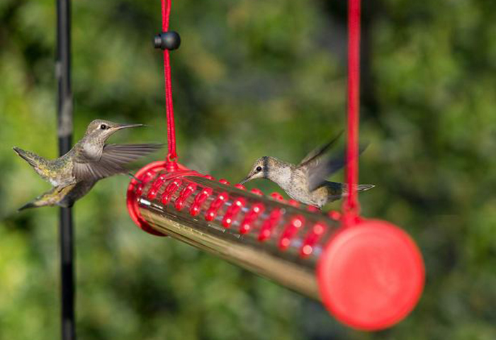 Single Port Hummingbird Feeders