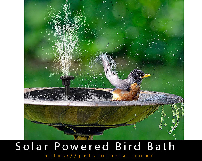 Solar Powered Bird Bath-3