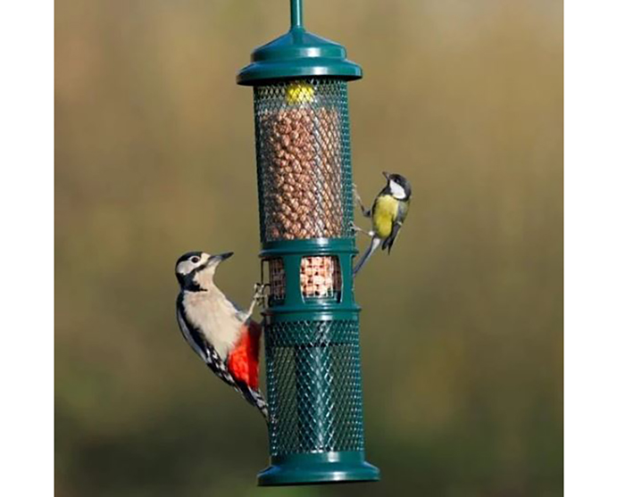 Squirrel Buster Peanut Plus Wild Bird Feeder