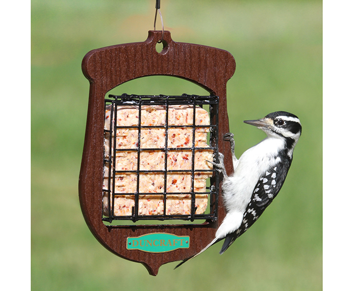 Suet Cake Feeder-2