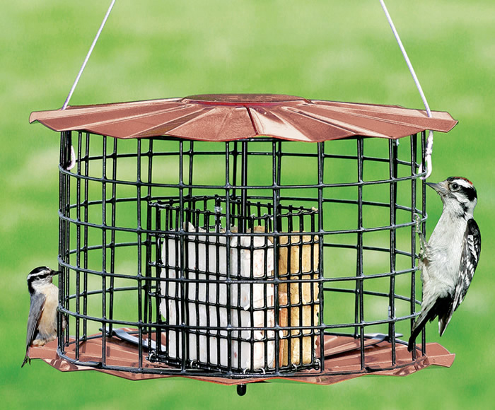 Suet Cake Feeder-3