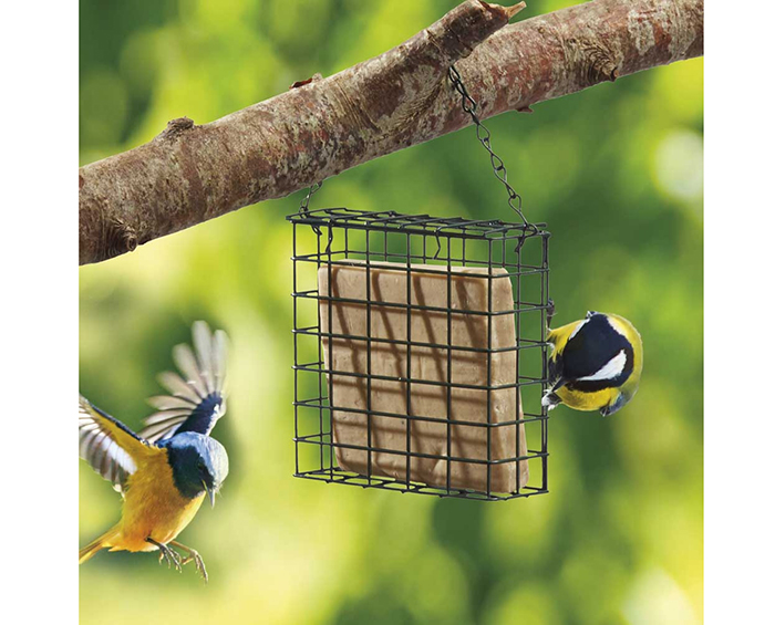 Suet Cake Feeder