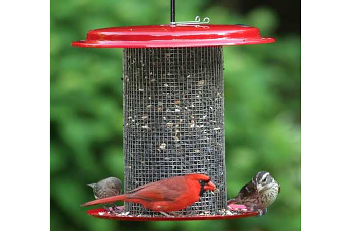 Suet Pellet Feeder-3