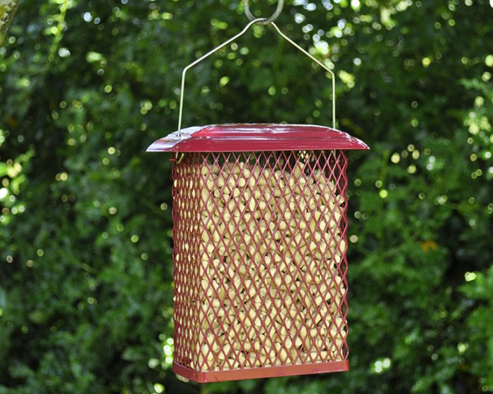 Suet Pellet Feeder