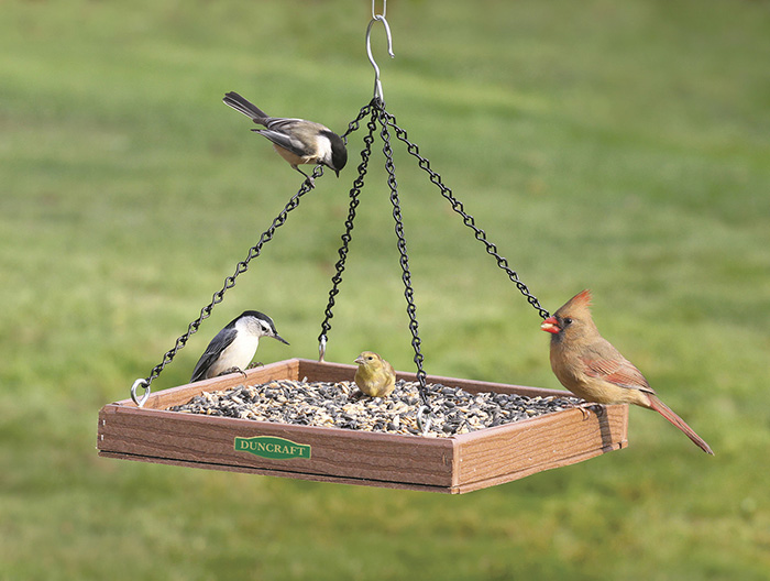 Twirling Bird Feeder