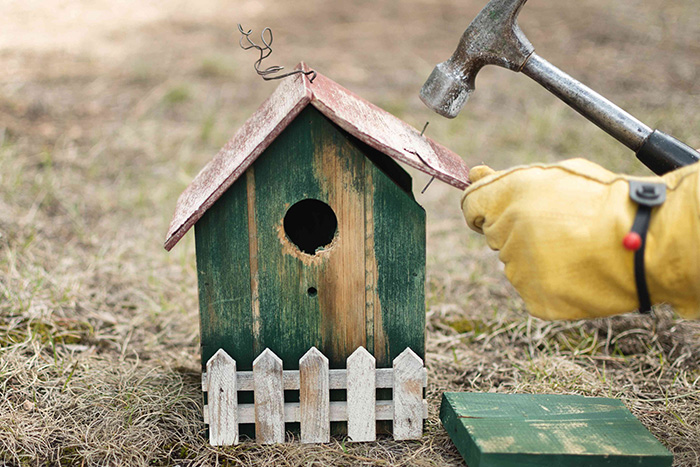 When Is The Best Time To Clean Out A Birdhouse-3