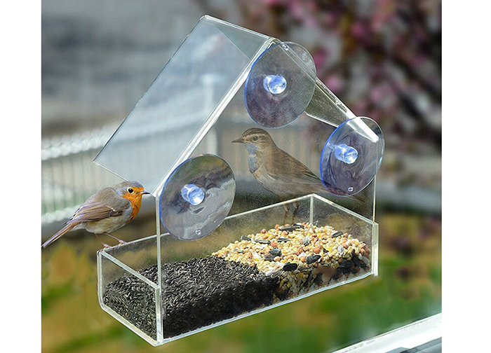 Window Bird Feeders Near Me